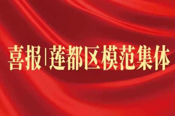 喜報丨浙江中立建設(shè)榮獲蓮都區(qū)“模范集體”稱號！